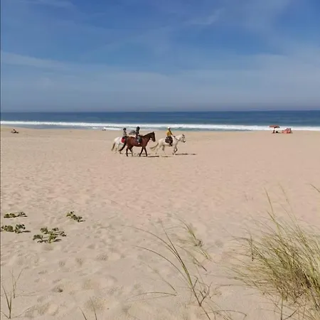 Holiday home Casa Lagoa De Albufeira Sesimbra