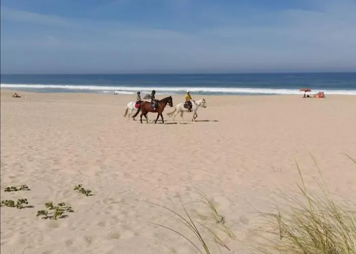 펜션 Casa Lagoa De Albufeira 세심브라