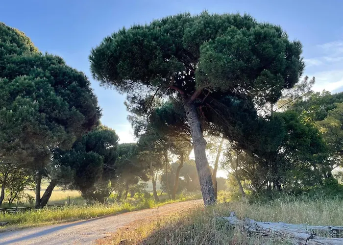 펜션 Casa Lagoa De Albufeira 세심브라